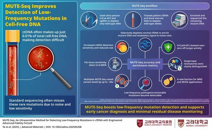 Image: MUTE-Seq uses ultra-precise FnCas9-AF2 to remove wild-type DNA (Photo courtesy of Professor Junseok/Korea University College of Medicine)