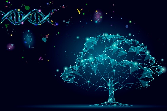Image: A digital tree built from DNA-like connections represents how scientists trace the ancestry of microbes
