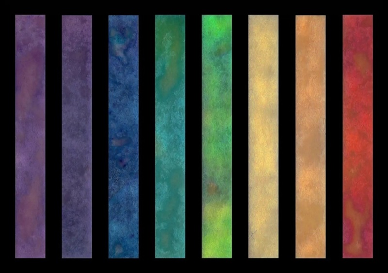 Image: Test strips with various uropathogenic bacterial species that are responsible for the majority of urinary tract infections (Photo courtesy of Henning Sabersky-Müssigbrodt/TUM)