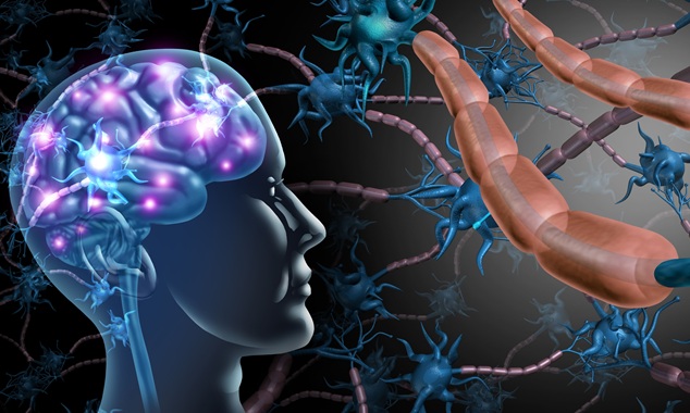 Image: The test will combine multi-protein biomarkers with AI-driven algorithms to measure MS progression (Photo courtesy of Adobe Stock)