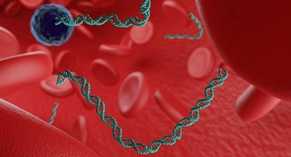 mage: Ultrasensitive circulating tumor DNA analysis enables early, noninvasive monitoring of immunotherapy response (Photo courtesy of Shutterstock)