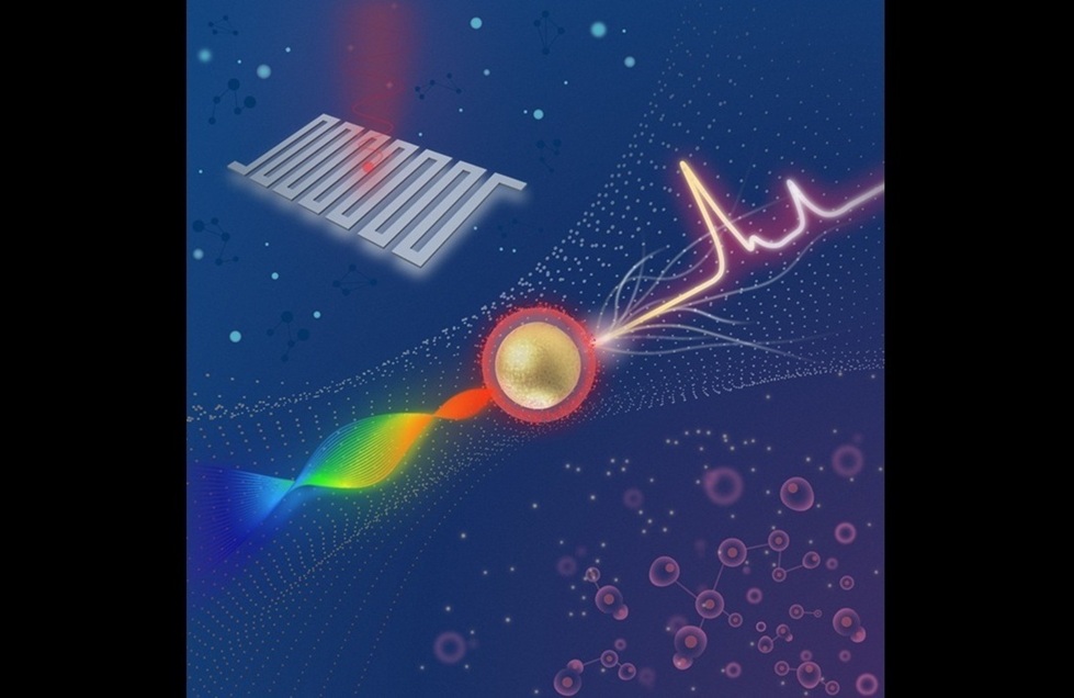 Image: The sensitive Raman imaging system can detect very faint signals from SERS nanoparticles that bind to tumor markers (Photo courtesy of Zhen Qiu/Michigan State University)