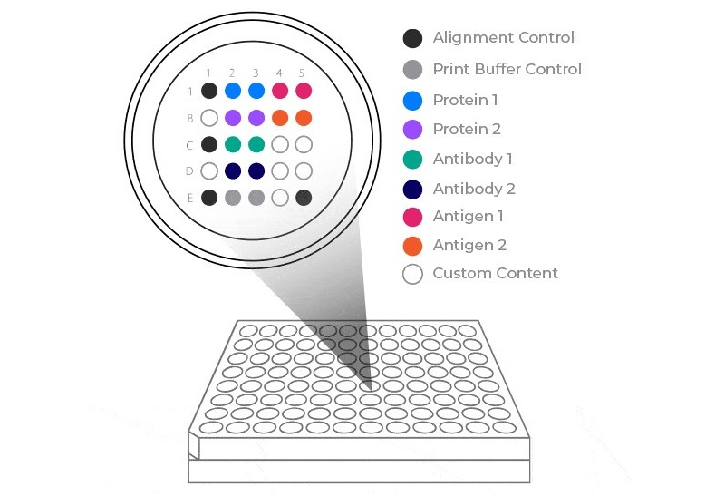 Image: Pictor’s testing solution supports deeper biological insights from a single sample (Photo courtesy of Pictor)