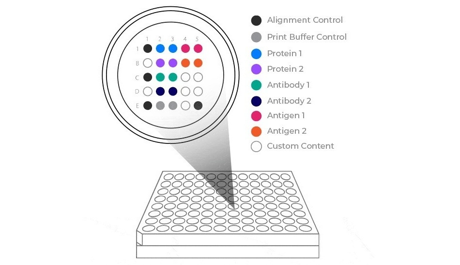 Image: Pictor’s testing solution supports deeper biological insights from a single sample (Photo courtesy of Pictor)
