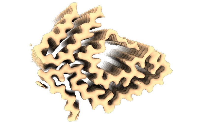 Image: 3D reconstruction of an ATTR-F64S amyloid fibril extracted from skin tissue of a living patient (Photo courtesy of UNIGE)