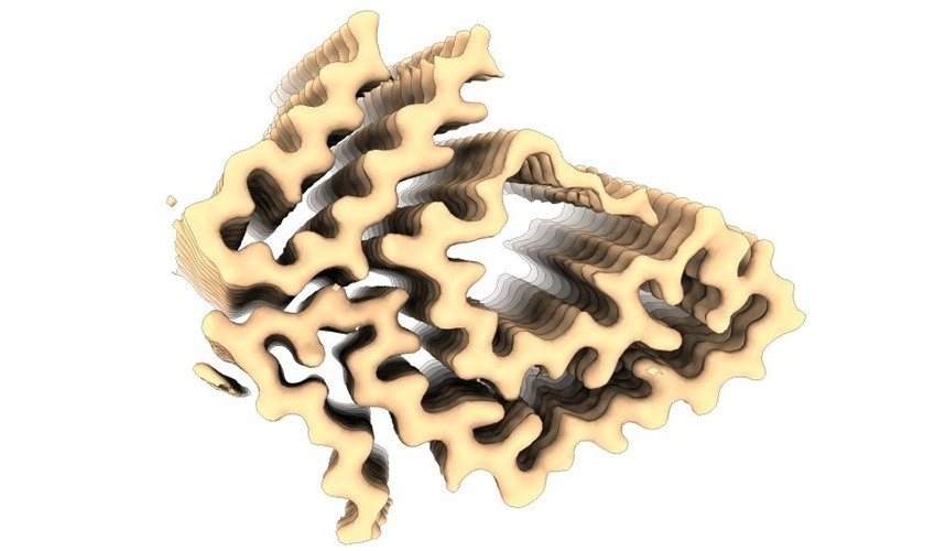 Image: 3D reconstruction of an ATTR-F64S amyloid fibril extracted from skin tissue of a living patient (Photo courtesy of UNIGE)
