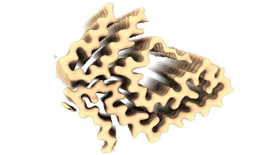 Image: 3D reconstruction of an ATTR-F64S amyloid fibril extracted from skin tissue of a living patient (Photo courtesy of UNIGE)