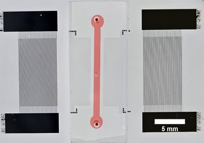 Image: The new device can fit in the palm and is capable of measuring the quality of red blood cells (Photo courtesy of Xiaoyun Ding)