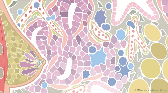 Image: The TmS computational biomarker analyzes tumor gene expression and microenvironment data to guide treatment decisions (Photo courtesy of MD Anderson Cancer Center)
