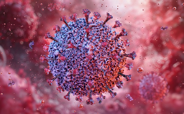 Image: Researchers have repurposed genome sequencing to reveal hidden drivers of Epstein–Barr Virus immunity (Photo courtesy of Adobe Stock)