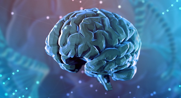 Image: The new findings may help inform therapeutic strategies and support biomarker development for Alzheimer\'s Disease (Photo courtesy of 123RF)