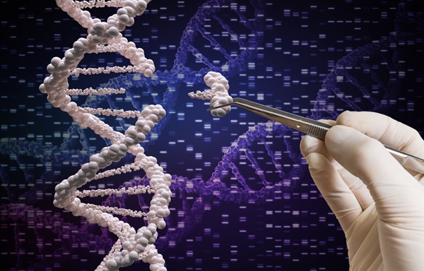 Image: Direct CRISPR gene editing in patient-derived leukemia cells uncovers vulnerabilities driving AML (Photo courtesy of Shutterstock)