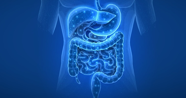 Image: New findings enable enable the detection of a blood virome signature for Crohn’s disease (photo courtesy of Adobe Stock)