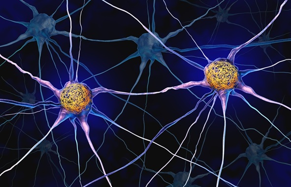 Image: The researchers created a detailed molecular profile associated with different stages of cognitive decline in Alzheimer’s (Photo courtesy of Shutterstock)