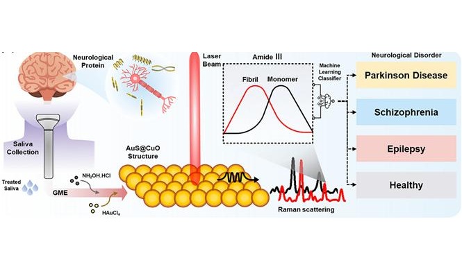 Image: Conceptual diagram of saliva-based neurological disease diagnosis (Photo courtesy of Korea University)