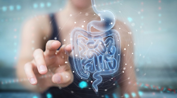 Image: The study\'s findings show persistent standardization gaps among at-home gut microbiome testing kits (Photo courtesy of Adobe Stock)