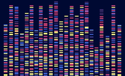 Image: Optical genome mapping reveals genetic changes in leukemia patients that conventional tests may miss (Photo courtesy of 123RF)