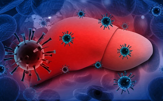 Image: HBV RNA in blood is as a stronger predictor of liver cancer risk in patients treated for chronic hepatitis B (Photo courtesy of Adobe Stock)