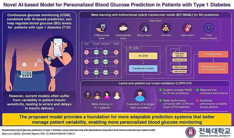 Image: BiT-MAML adopts meta-learning to address inter-patient variability and a hybrid architecture to capture both short-term and long-term patterns in BG levels (Photo courtesy of Professor Jaehyuk Cho, Jeonbuk National University, Korea)