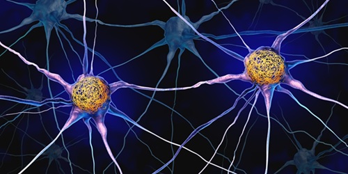 Image: Plasma assays that capture tau-related signals may help predict faster progression in patients with early symptomatic Alzheimer’s disease (photo courtesy of Shutterstock)