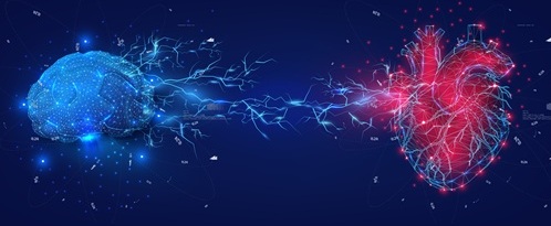 Image: Early measurement of NfL in blood may improve identification patients at high risk of later cognitive impairment after cardiac arrest (photo courtesy of Shutterstock)