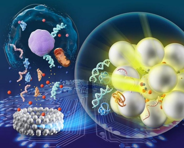 Image: Schematic illustration of the MetaRing platform for detecting paclitaxel treatment sensitivity in breast cancer (Photo courtesy of HUANG Guangyao)