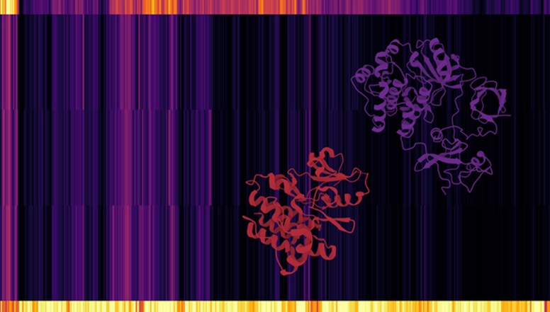 Image: Many targeted tumors activate a backup pathway to sustain growth when tyrosine kinase—shown here as strands—is inhibited (Photo courtesy of Massachusetts Institute of Technology)