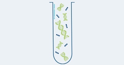 Image: Monitoring ctDNA is a powerful tool to assess the absence or presence of MRD (Photo courtesy of Natera)
