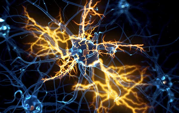 Image: The findings inform MND care by linking variants to prognosis and highlighting inherited mutations that support family genetic testing (photo credit: Adobe Stock)