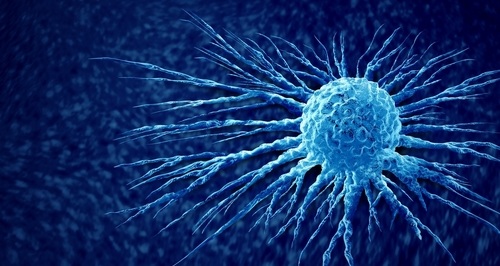 Image: Understanding the role of the tumor microbiota opens new perspectives for cancer therapy.