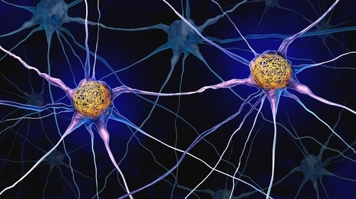 Image: Higher midlife vitamin D levels are linked to lower tau accumulation later, though the association does not establish causation (photo courtesy of Shutterstock) Image: Higher midlife vitamin D levels are linked to lower tau accumulation later, though the association does not establish causation (photo courtesy of Shutterstock)