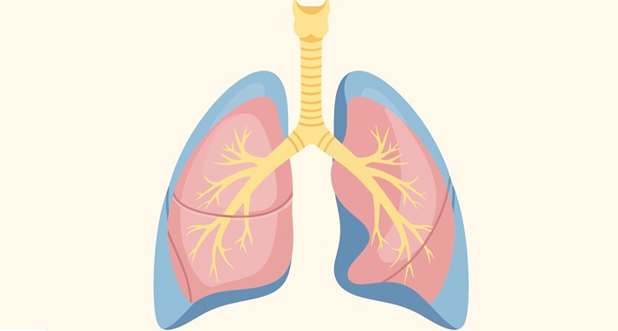 Photo courtesy of Adobe Stock