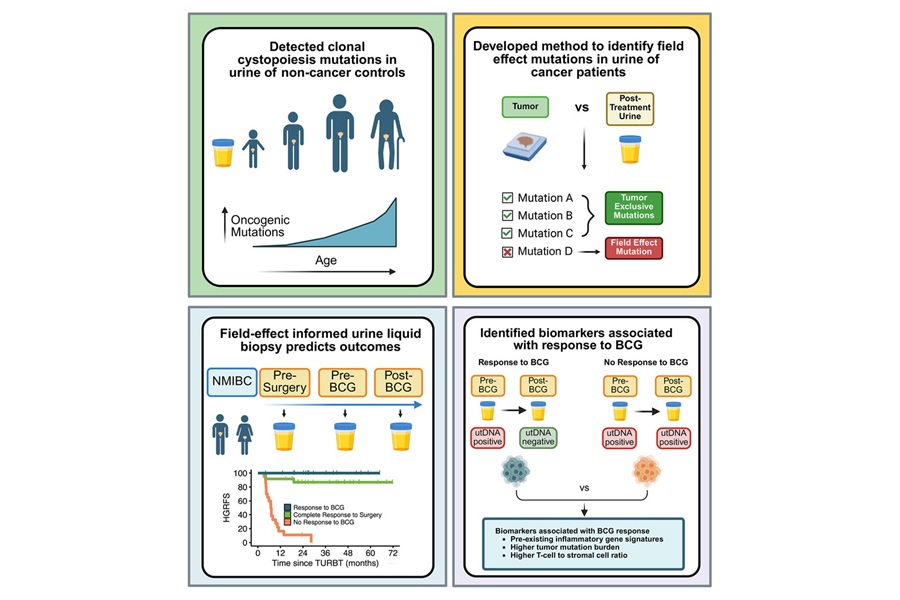 Image: Graphical abstract (Shi W., Liu K., Esfahani M., Cell (2026). DOI: 10.1016/j.cell.2025.12.054)