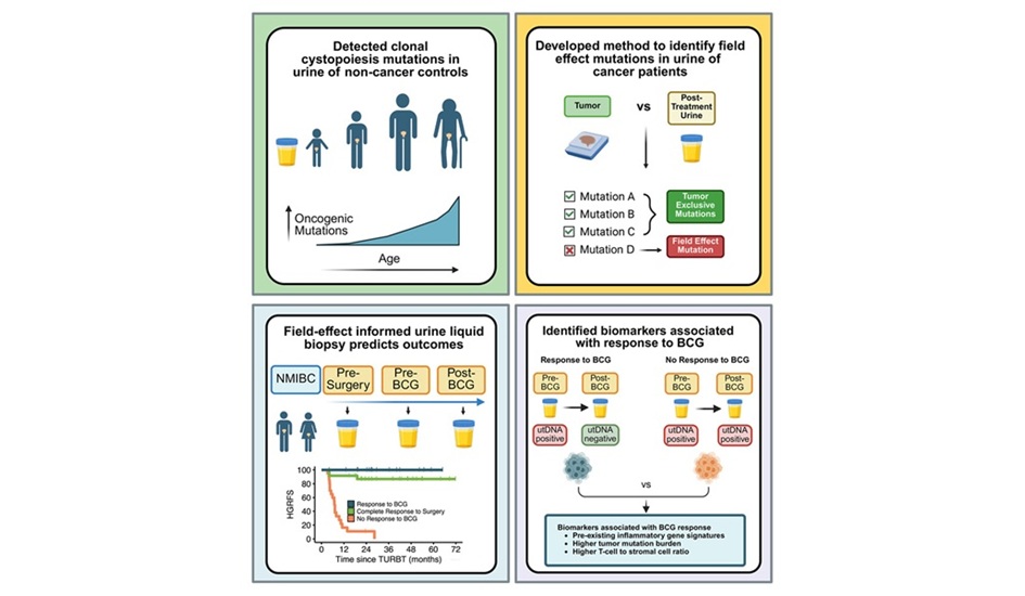 Image: Graphical abstract (Shi W., Liu K., Esfahani M., Cell (2026). DOI: 10.1016/j.cell.2025.12.054)