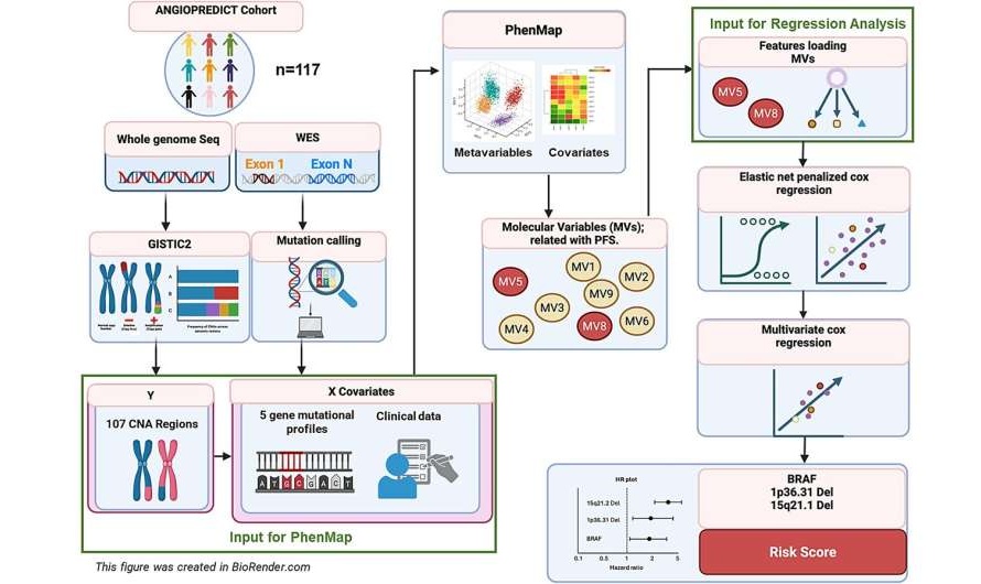Image: Flow chart summarizing workflow pipeline (Thomas, V., Nyamundanda, G., Lärkeryd, A. et al. Sci Rep 16, 8843 (2026). https://doi.org/10.1038/s41598-026-39189-w)