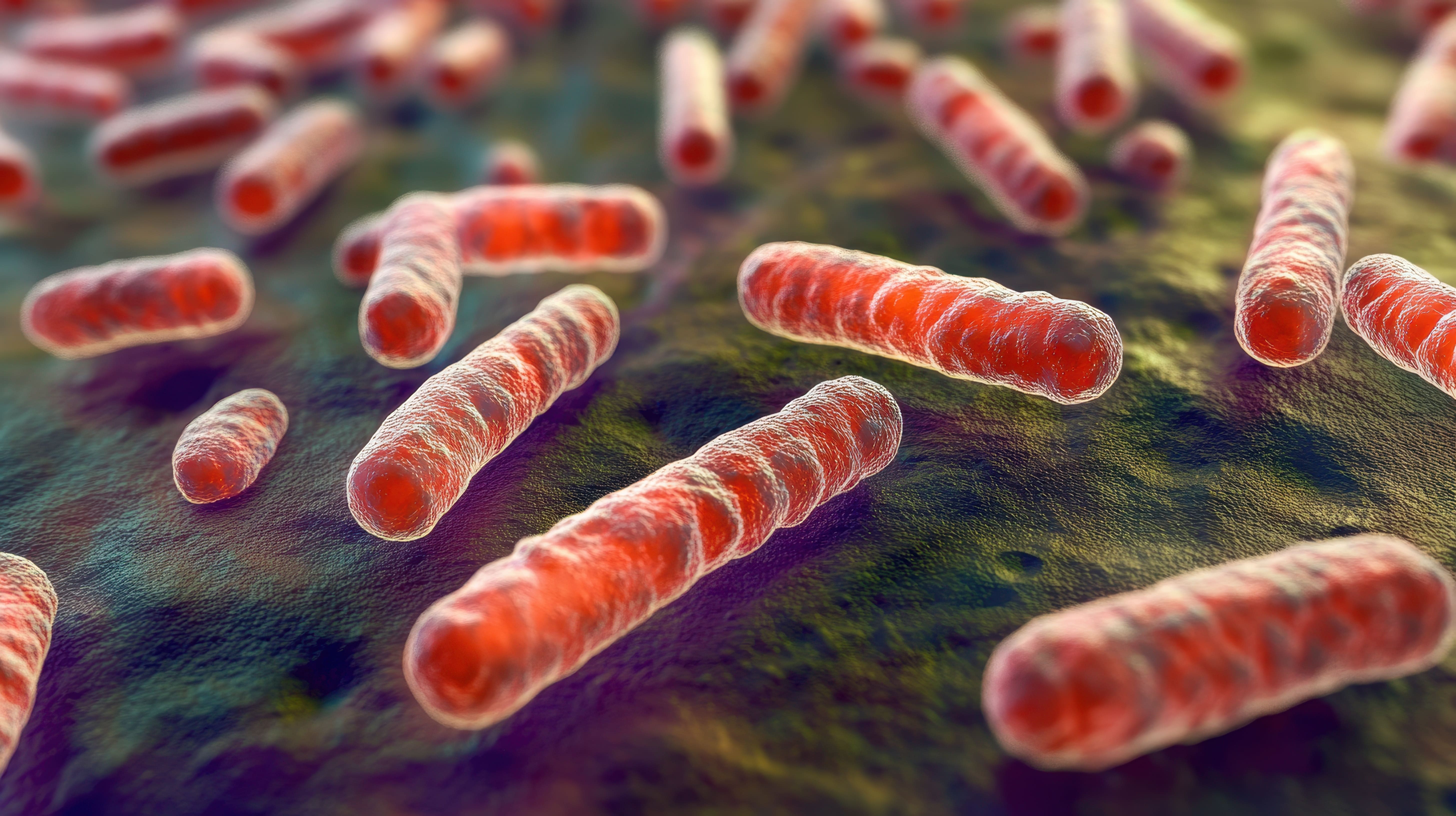 Image: The ultrasensitive test detected M. tuberculosis DNA in patients unlikely to be diagnosed with current methods (photo courtesy of Adobe Stock)