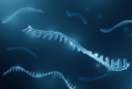 Image: The STRIPE platform enables deep sequencing of full-length RNA molecules for any customized disease-relevant panel (photo courtesy of Shutterstock)