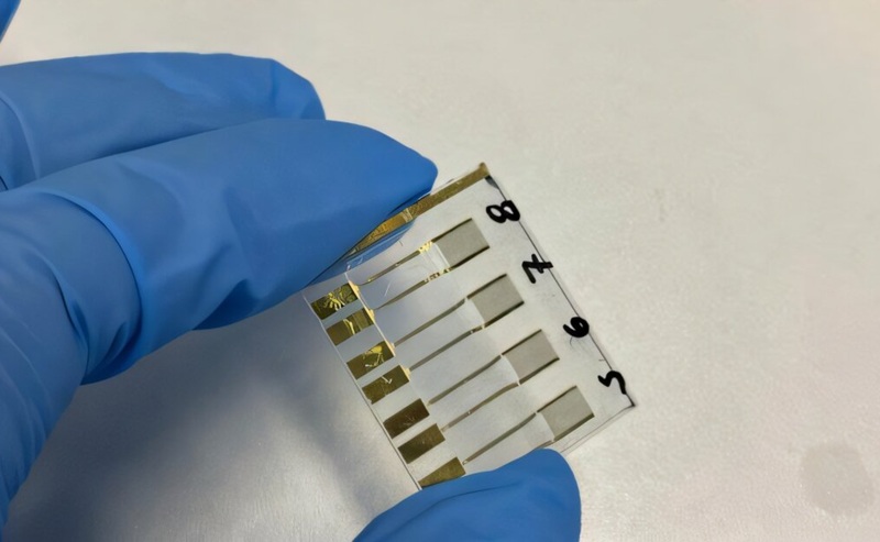 Image: The device contains specific antibodies that capture the primary biomarker of pancreatic cancer. The binding of these antibodies alters the distribution of electrical charges on the electrode surface. The sensor then translates this variation into a measurable capacitance signal (photo courtesy of Gabriella Soares / IFSC-USP)