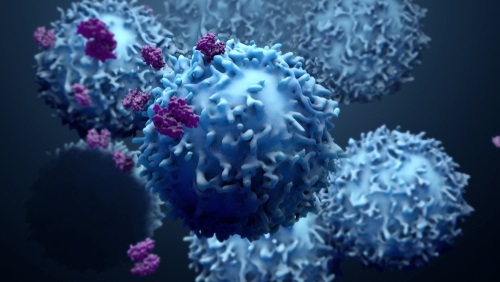 Image: The findings show that patients with tumors harboring active networks of cytotoxic T cells were more likely to benefit from treatment, whereas those with dense clusters of plasma cells were significantly less likely to respond (photo courtesy of Shutterstock)