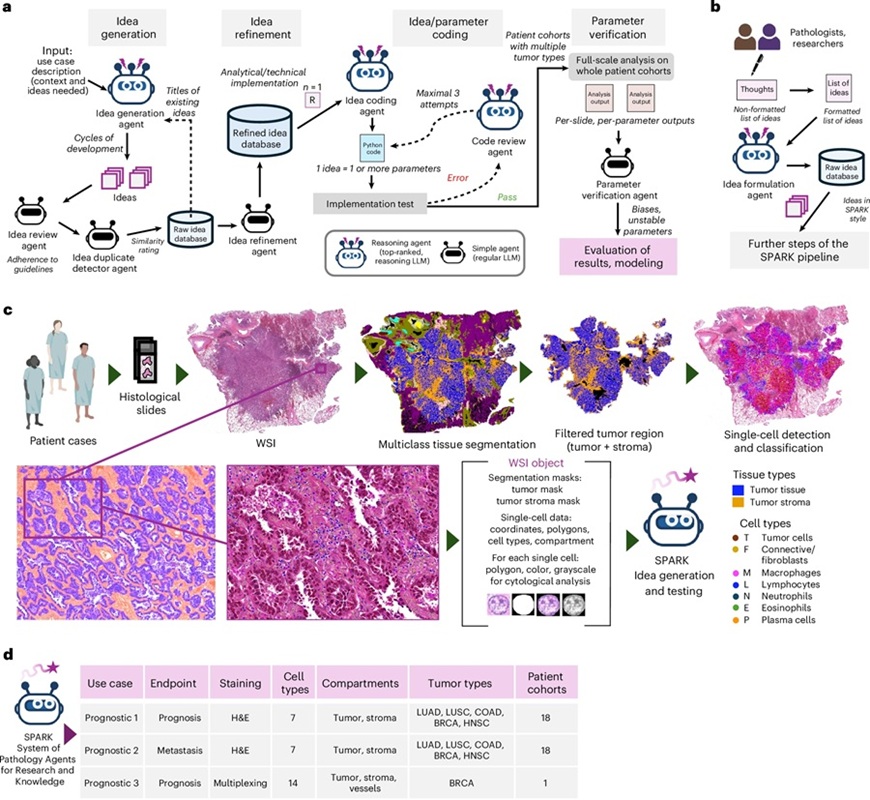 Image: SPARK overview, data structure and study design (Trost, F., Zhang, B., Aring, I. et al. https://doi.org/10.1038/s41591-026-04357-y)