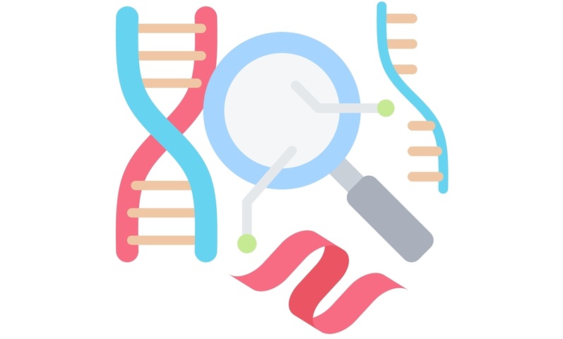 Image: These findings suggest tumor transcriptomic errors may provide a predictive framework for personalizing treatment in metastatic kidney cancer (photo courtesy of Shutterstock)