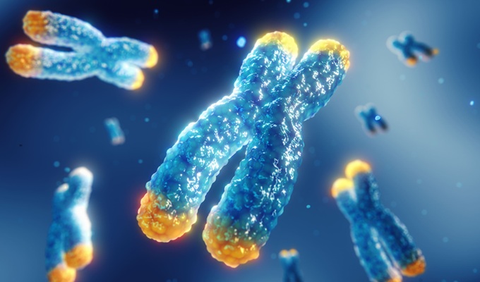 Image: While long telomeres are often viewed as protective against aging, a new study shows that extended cellular longevity may increase blood cancer risk (image credit: Adobe Stock)