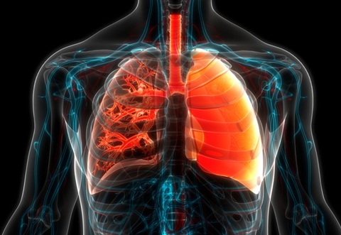 Image: Originally designed for lung cancer detection and resistance monitoring, the test also shows potential for identifying signals linked to pulmonary fibrosis (image credit: iStock)