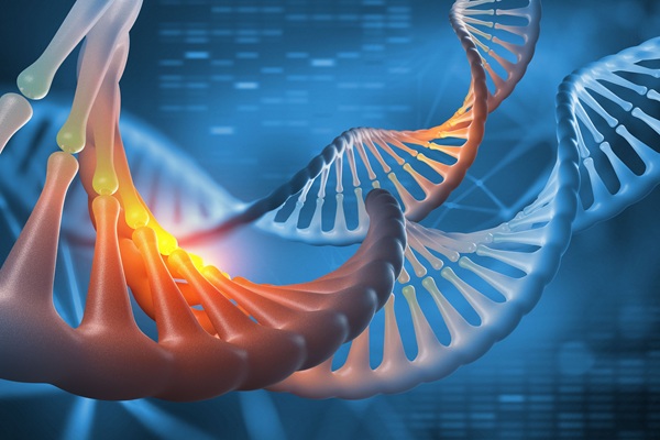 Image: Researchers identified eight new DNA pattern signatures that could help refine diagnostics and guide targeted therapy in breast cancer (image credit: 123RF)