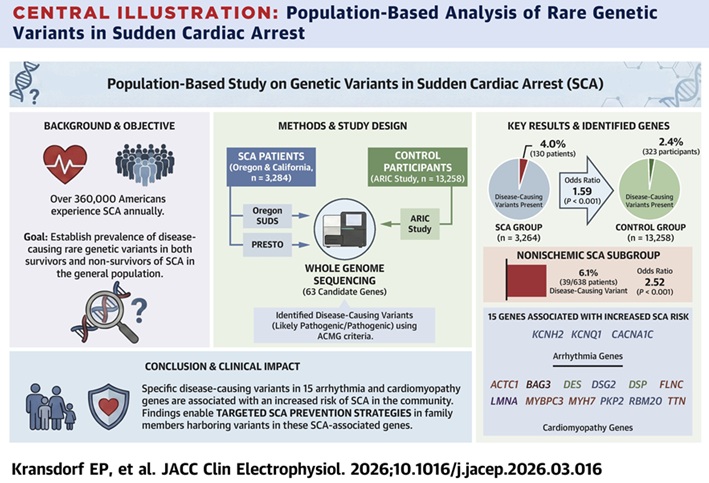 Evan P. Kransdorf et al., Population-Based Analysis of Rare Genetic Variants in Sudden Cardiac Arrest, JACC: Clinical Electrophysiology (2026). DOI: 10.1016/j.jacep.2026.03.016 Evan P. Kransdorf et al., Population-Based Analysis of Rare Genetic Variants in Sudden Cardiac Arrest, JACC: Clinical Electrophysiology (2026). DOI: 10.1016/j.jacep.2026.03.016