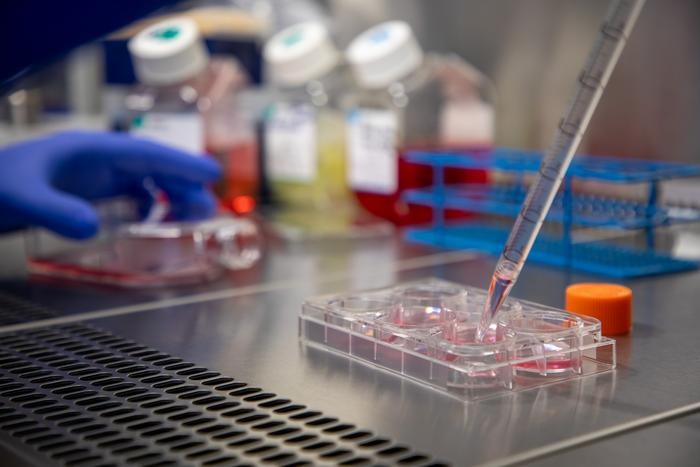 Image: Work inside the labs at the University of Southampton Centre for Cancer Immunology (Photo courtesy of University of Southampton) Image: Work inside the labs at the University of Southampton Centre for Cancer Immunology (Photo courtesy of University of Southampton)