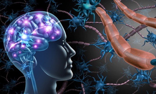 Image: New findings shows that specific blood proteins are altered long before multiple sclerosis diagnosis, pointing to a potential approach for pre-symptomatic risk assessment (image credit: Adobe Stock)