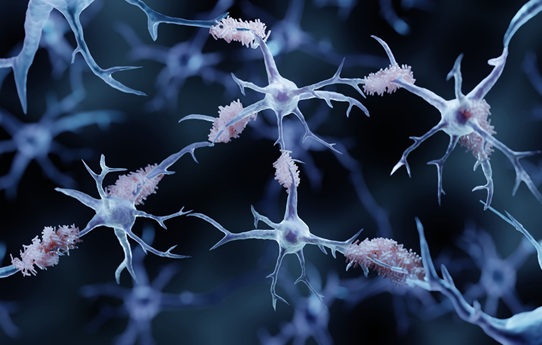 Image: The study addressed whether circulating markers of hallmark Alzheimer’s pathology align with subtle cognitive differences before clinical diagnosis (image credit: Adobe Stock)
