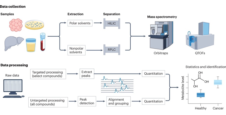Image: General workflow for liquid chromatography/mass spectrometry-based metabolomics (Rowles, J.L., Patti, G.J. Nature Reviews Cancer (2026). doi.org/10.1038/s41568-026-00908-0)