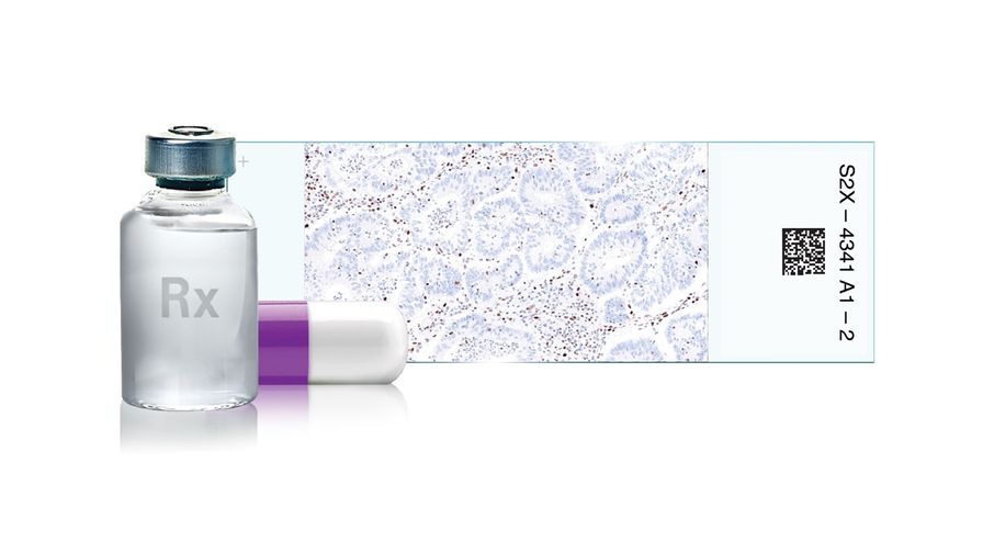 Image: Used as a predictive biomarker, VENTANA MMR RxDx Panel helps identify cancer patients eligible for certain precision oncology therapies, with IVDR approval expanding the companion diagnostic’s label to five cancer types and six indication (Photo courtesy of Roche)